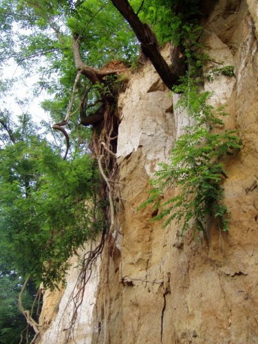 Přírodní památka Olšava - 30.8.2006